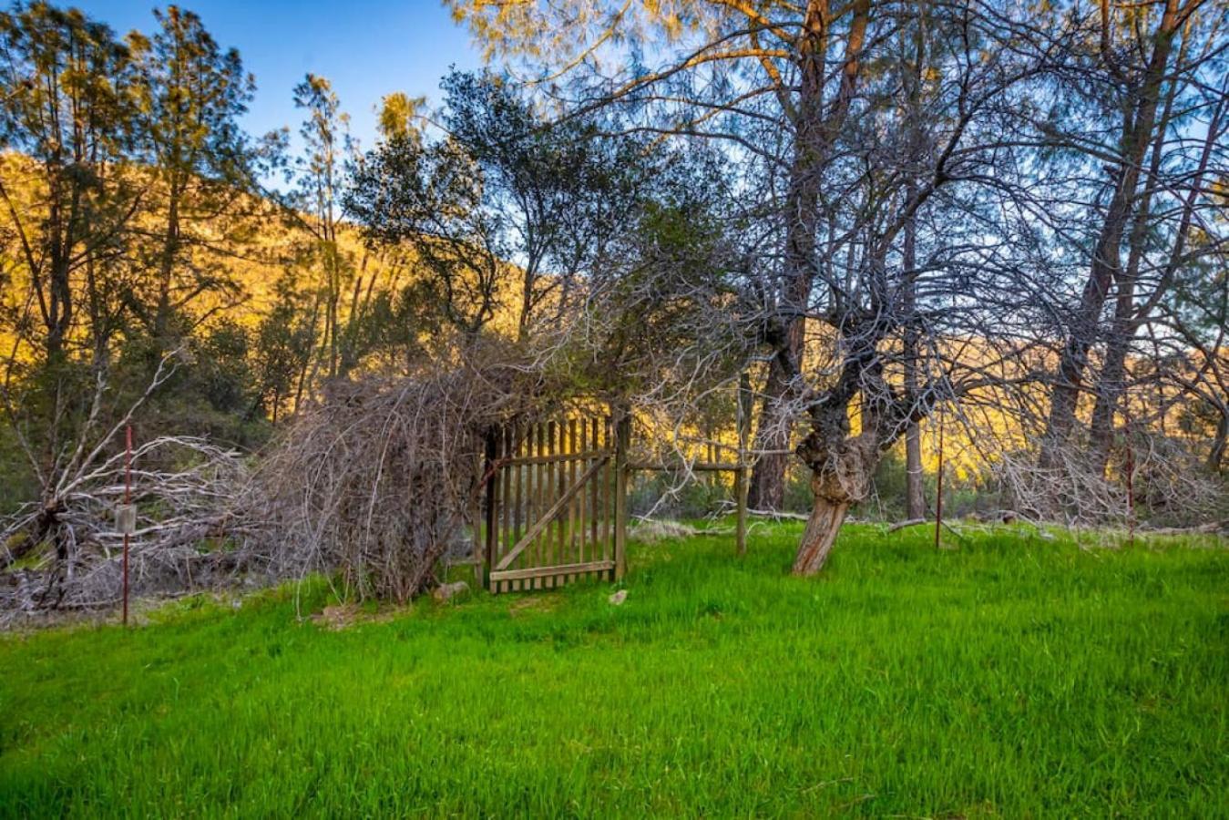 Sierra Vista Lookout Lodge With Creek, Waterfall And Waterholes, Minutes From Bass Lake And Yosemite South Gate North Fork المظهر الخارجي الصورة