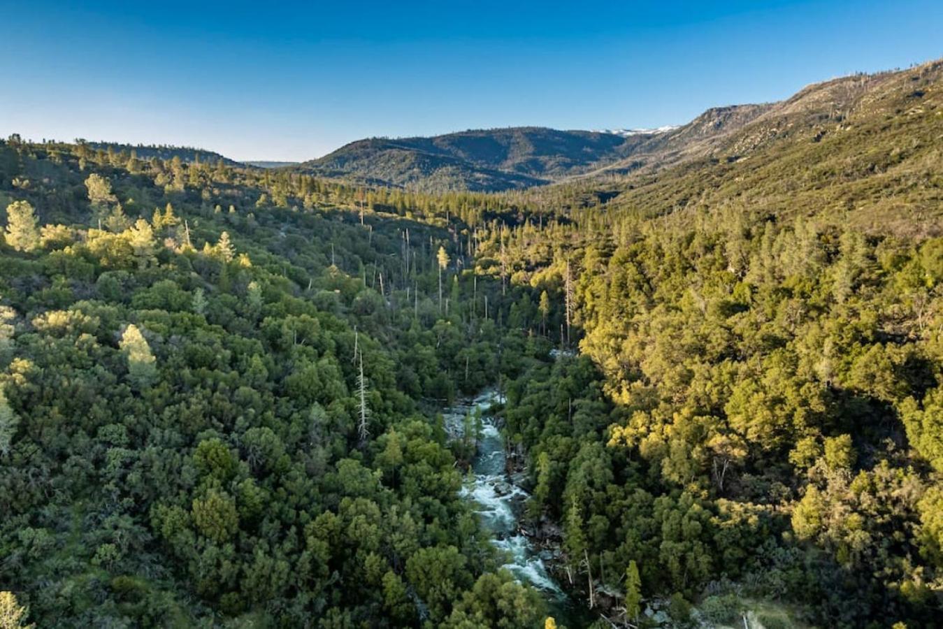 Sierra Vista Lookout Lodge With Creek, Waterfall And Waterholes, Minutes From Bass Lake And Yosemite South Gate North Fork المظهر الخارجي الصورة